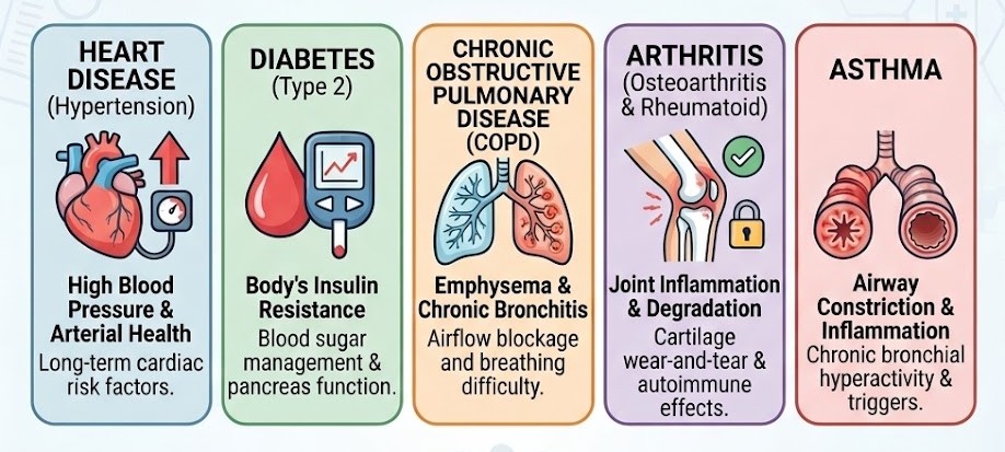 Infographic showing five chronic diseases with icons and brief descriptions: heart disease (hypertension), diabetes (type 2), COPD, arthritis, and asthma.